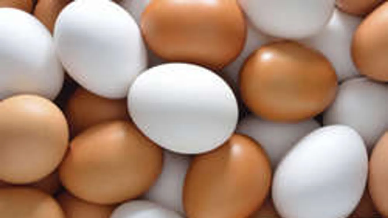 Ez durva: minden második tojás árát kiveszik a zsebedből!