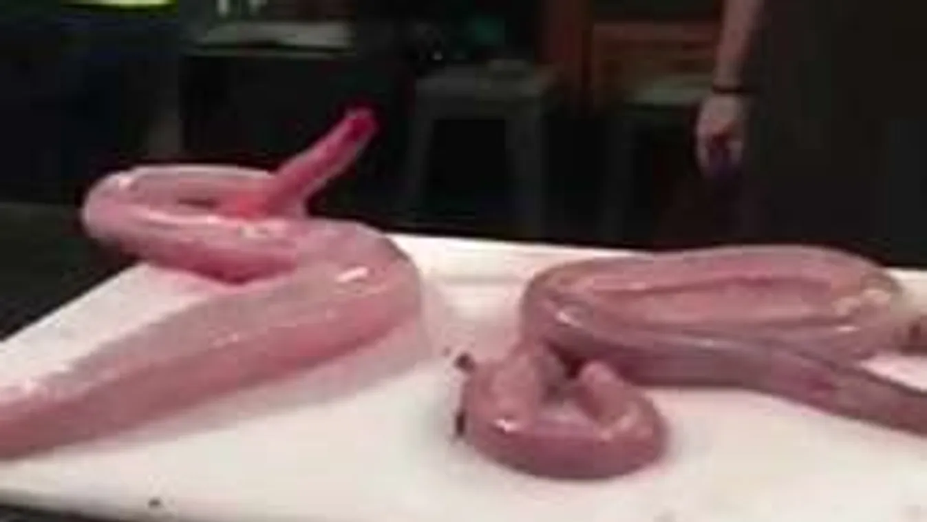 Itt a bizonyíték: zombik már pedig vannak