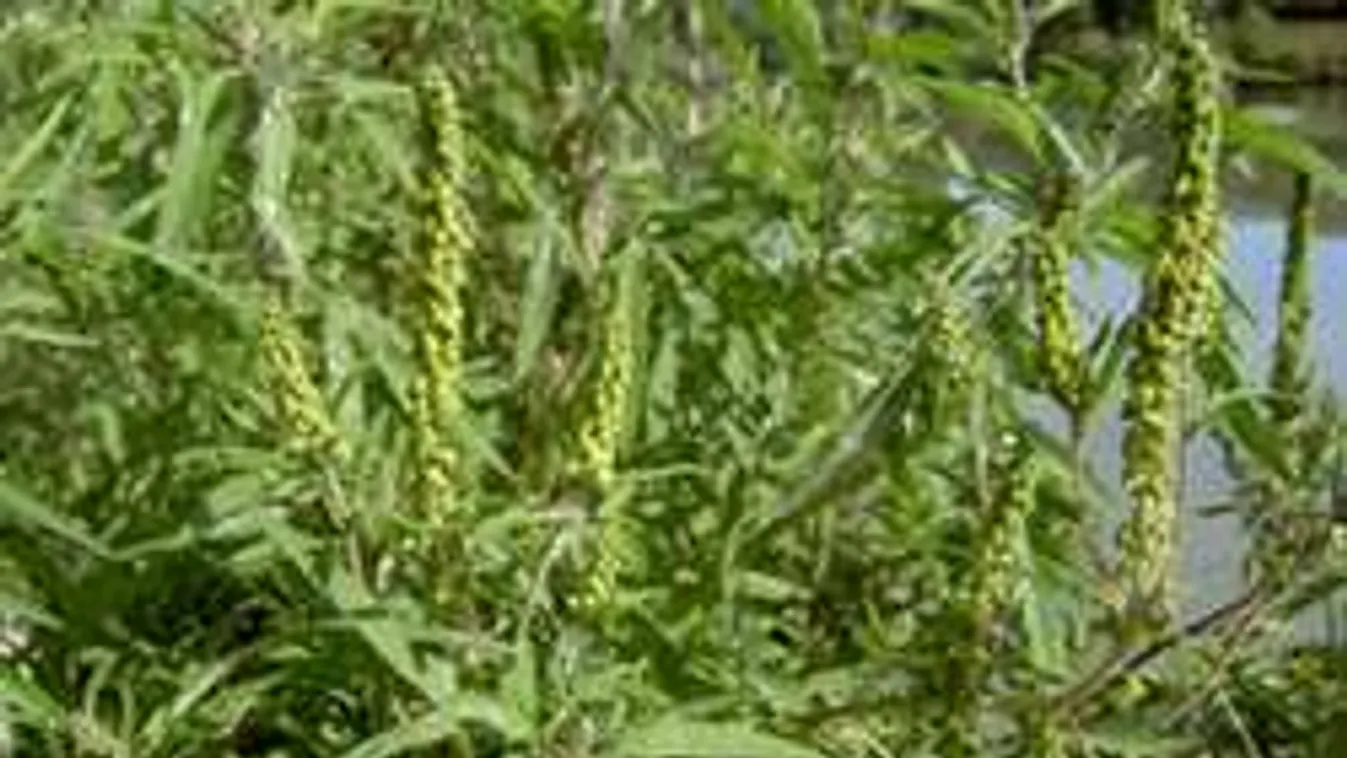 Extrém veszély leselkedik ránk a hétvégén a meteorológusok szerint