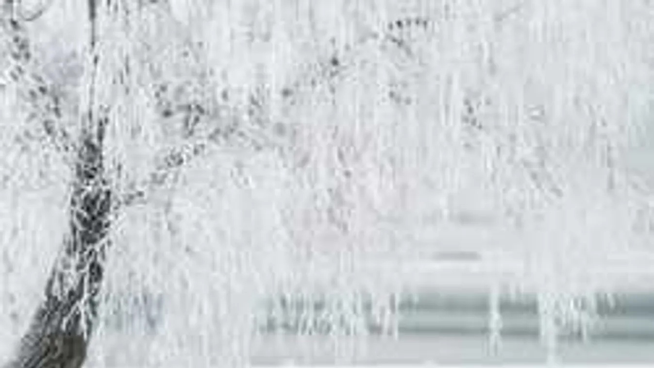 Szörnyű tragédia történt, négyéves kisfiú az áldozat