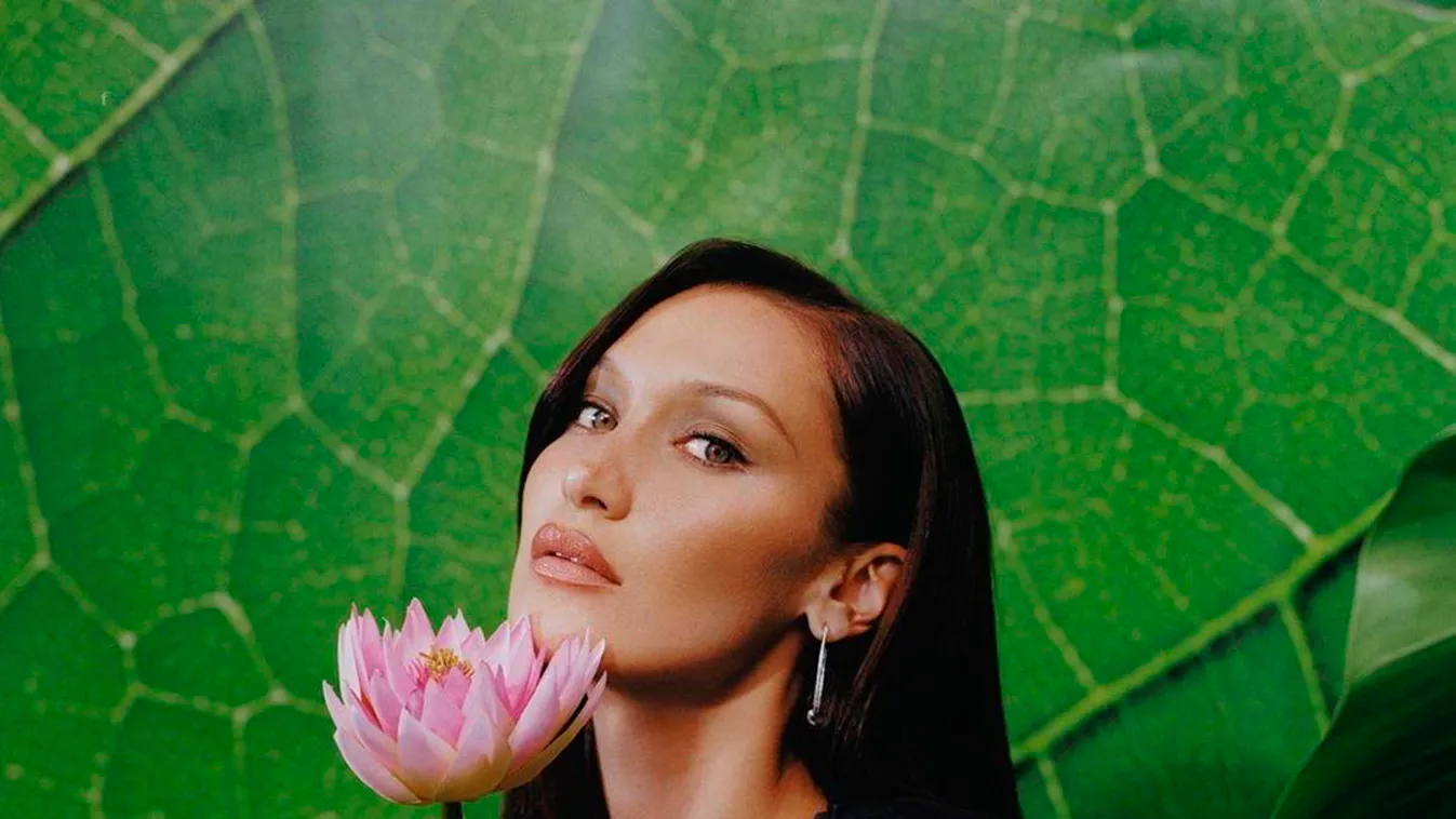 Daily Instagram Posts