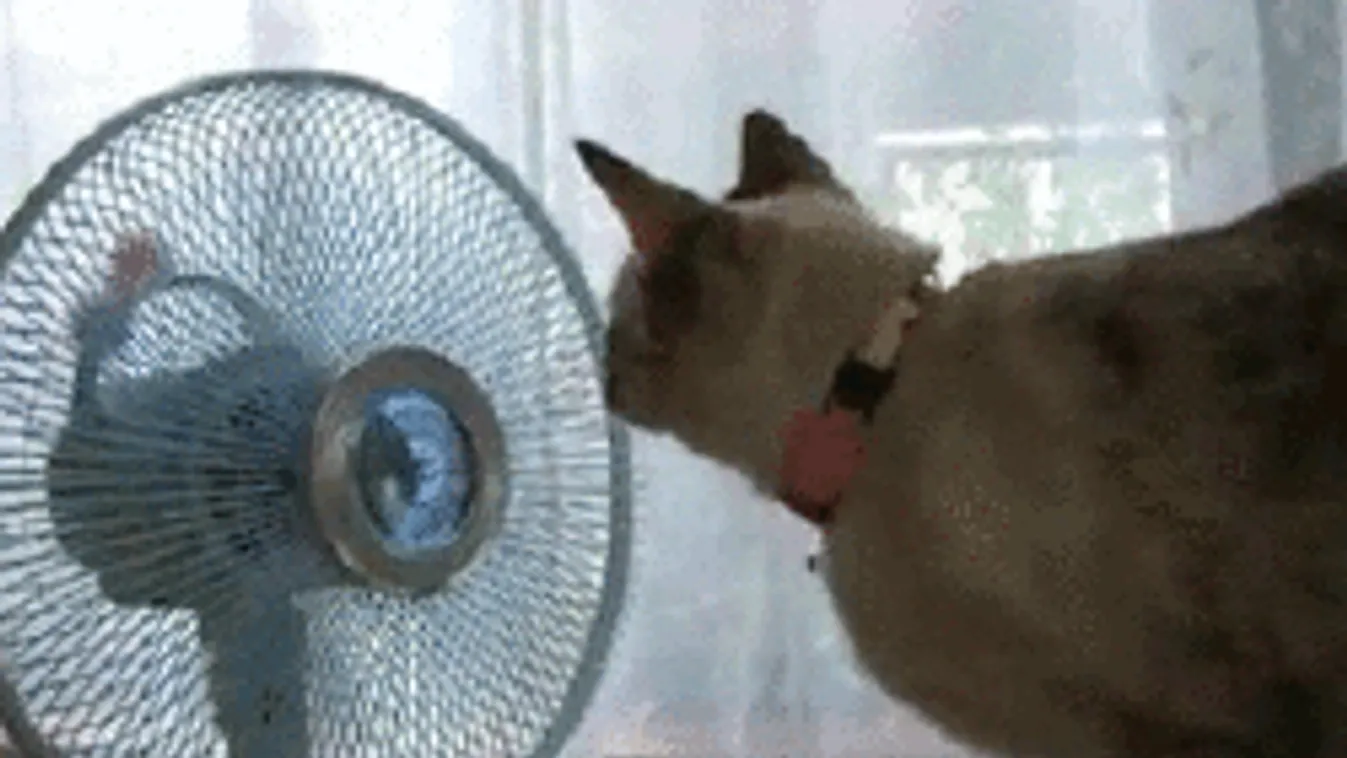 Jégeső és vihar csap le a kánikulában, ezekre a megyékre adtak ki riasztást