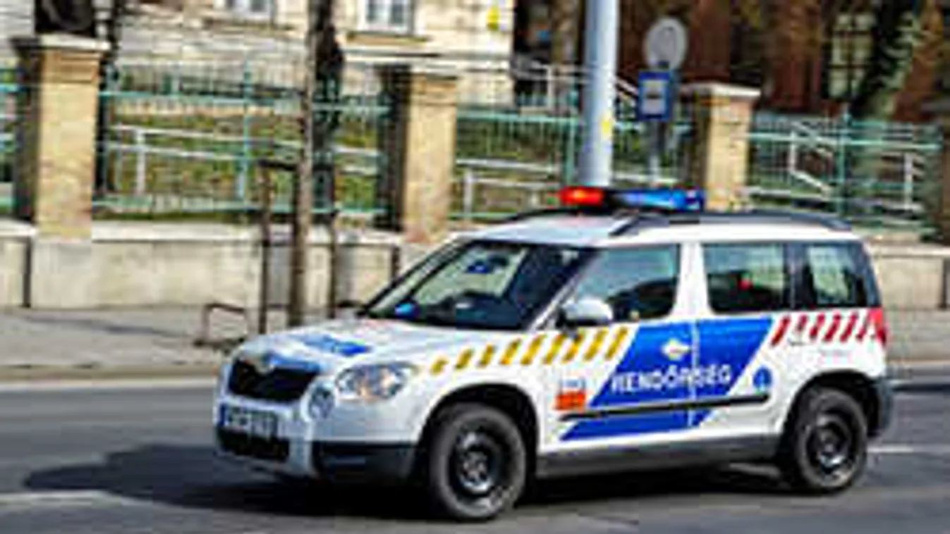 Hatalmas tömegverekedéshez riasztották a rendőröket Szabolcs megyében