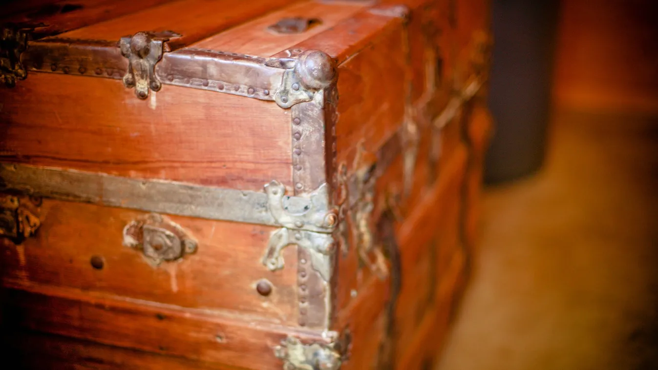 A barátok sem akarták elhinni: ez került elő, mikor ásni kezdtek