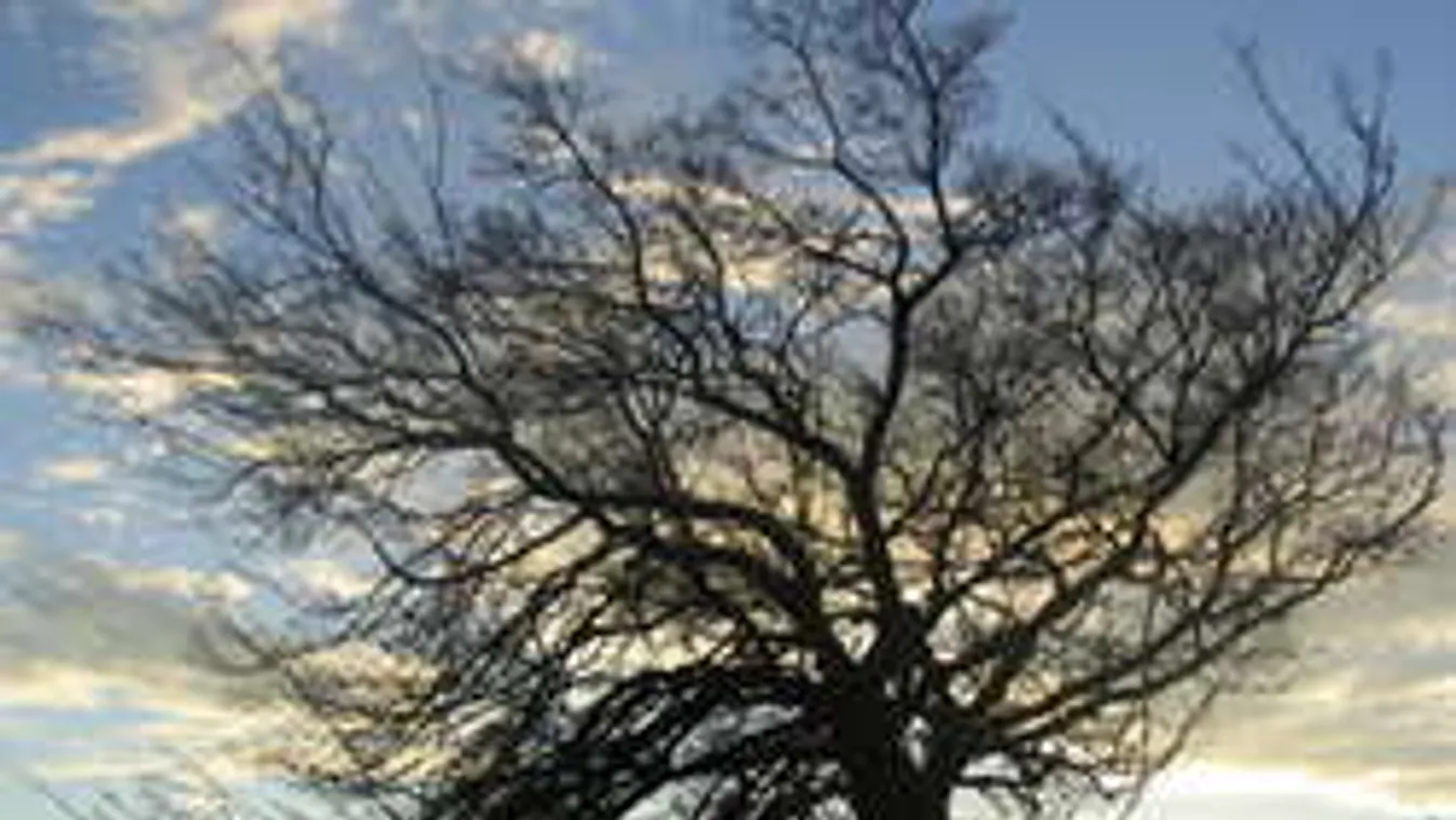 Az időjárás ma is is megtépázhatja az idegeinket