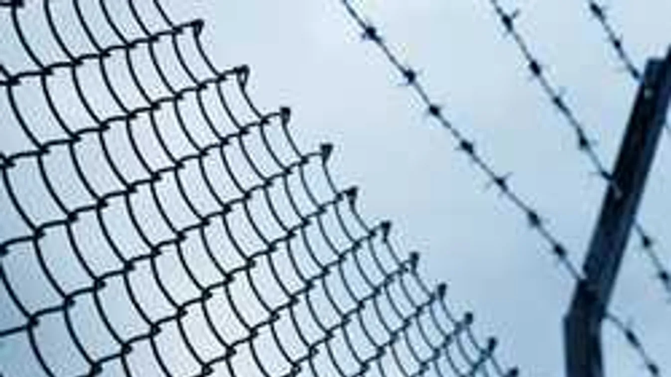 Borzalmas, mit művelt barátnője macskájával a férfi, kiutasítják az országból