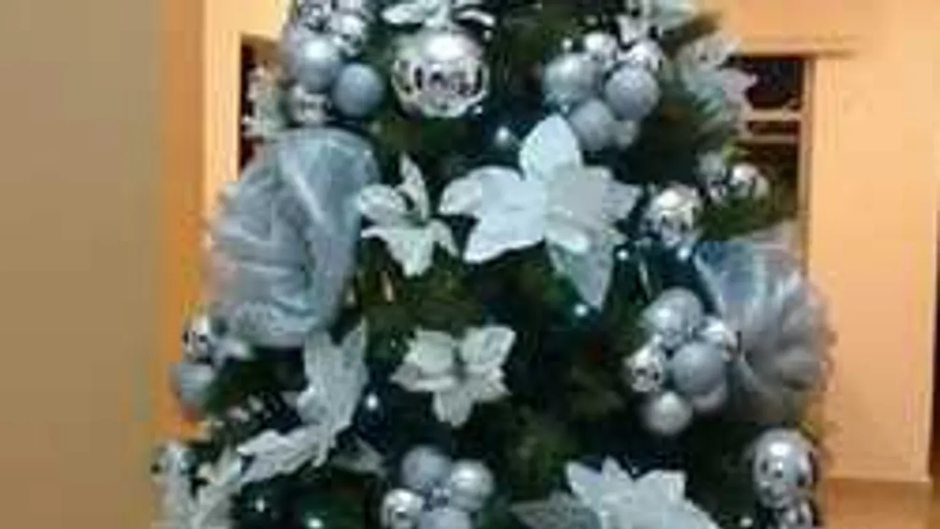 Így díszítsd idén a karácsonyfát, csodájára járnak a szomszédok