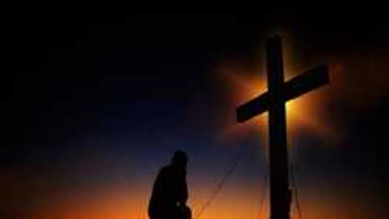 Sokkoló tanulmány került nyilvánosságra