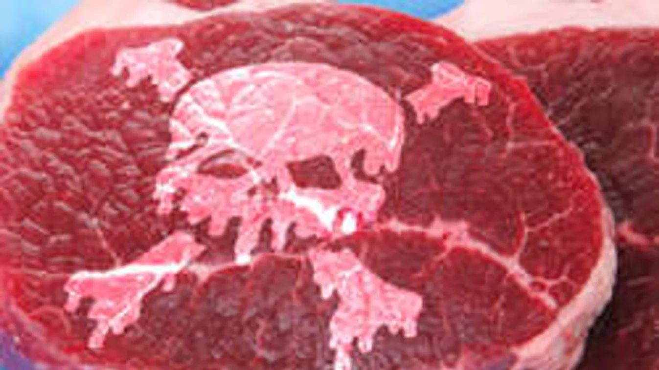 Péksüteménynek álcáztak 250 tonna húst, hogy átvigyék a határon