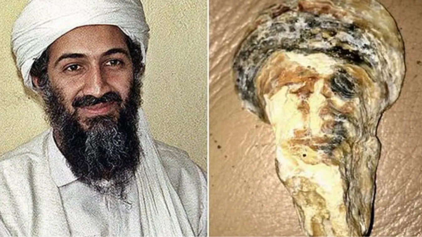 Nagyon durva, amit ebben a kagylóban találtak, sokat terrortámadástól tartanak!