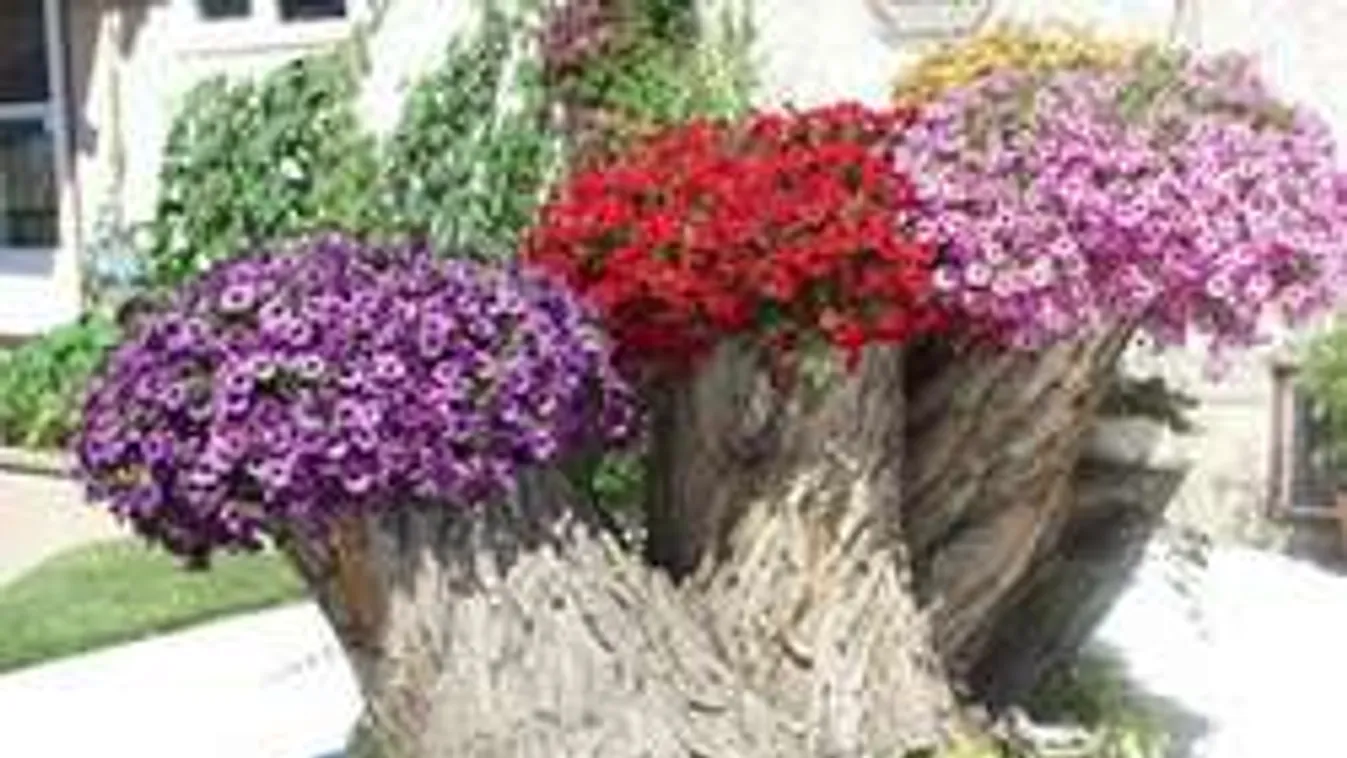 Öreg farönkből virágláda 10 perc alatt