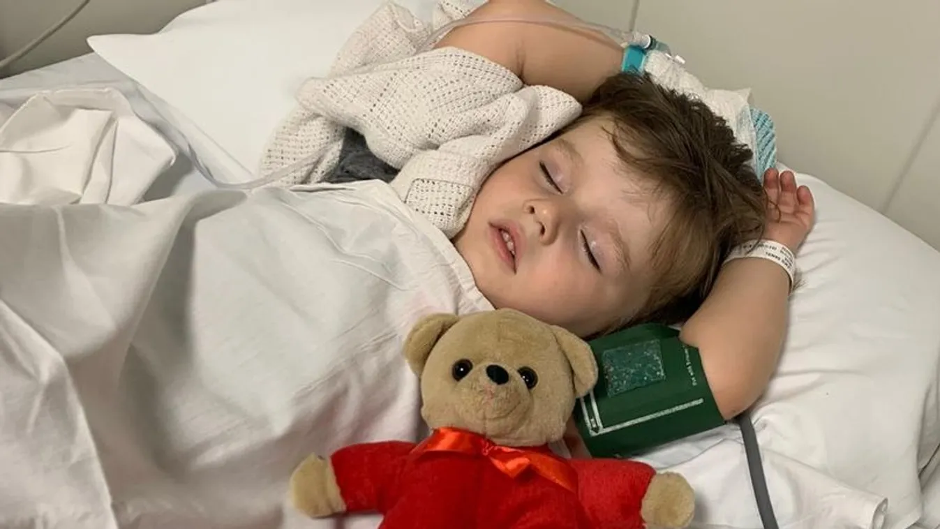 Sokkoló: vipera támadta meg a 3 éves kisfiút a családi pikniken – fotó