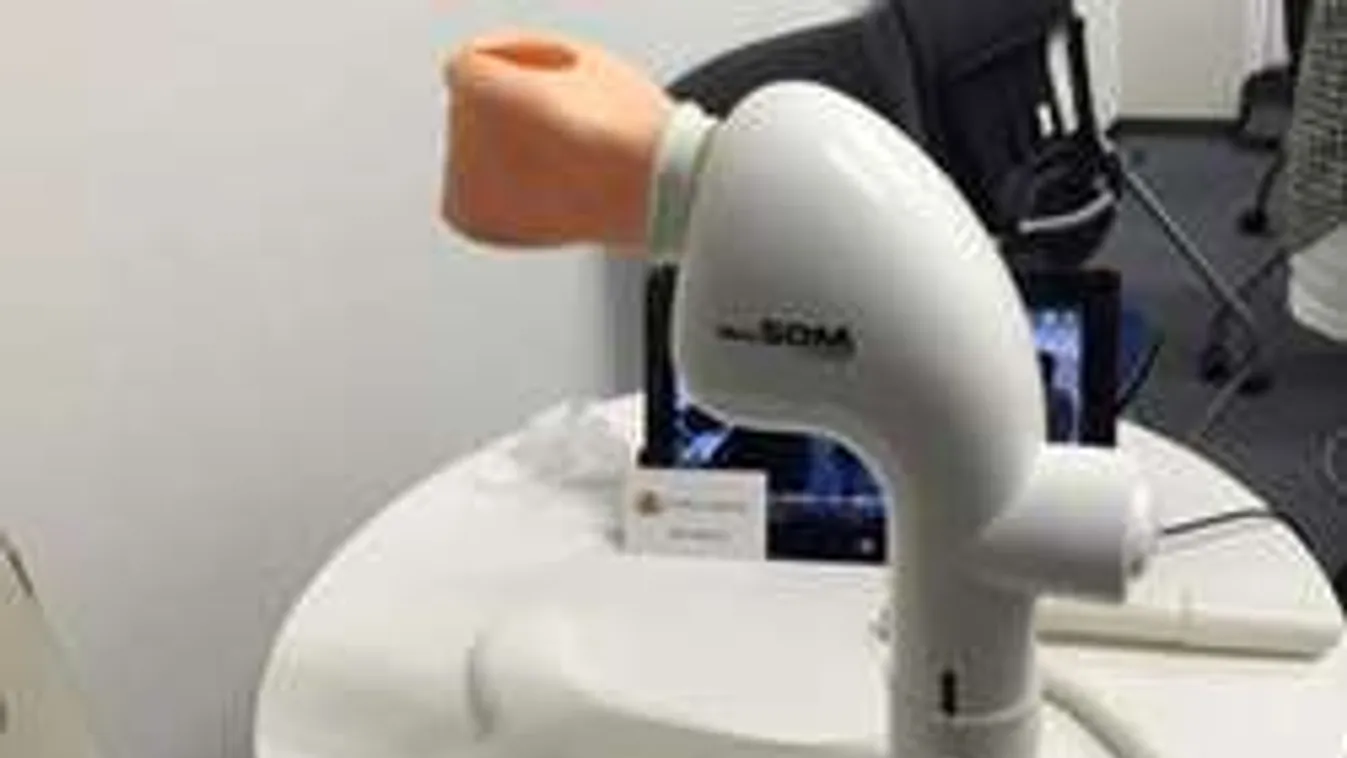 Látogatói roham miatt kellett félbeszakítani a szexfesztivált!