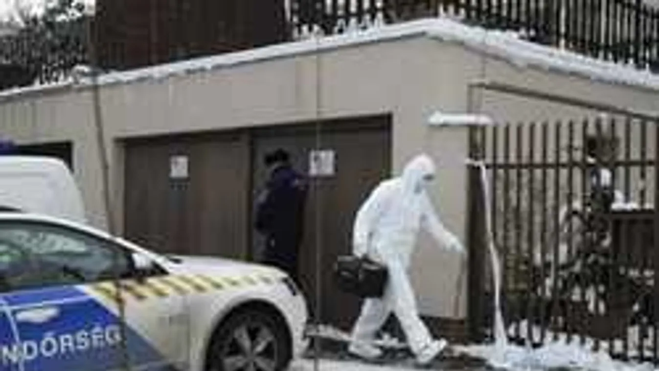 Csepeli vérfürdő: Egyetlen vágással végezte ki anyját Krisztián