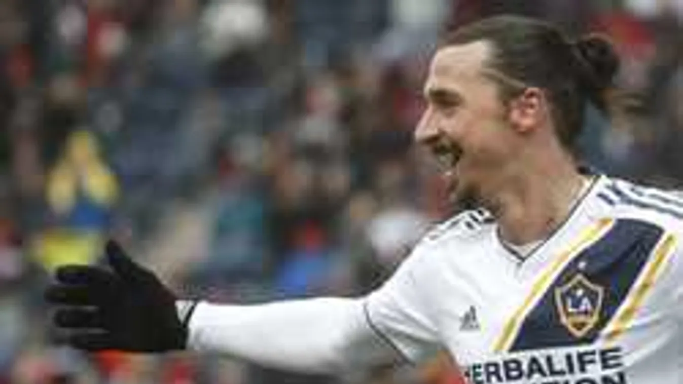 Erre ki számított? Ibrahimovic miatt szomorkodhat Nikolics