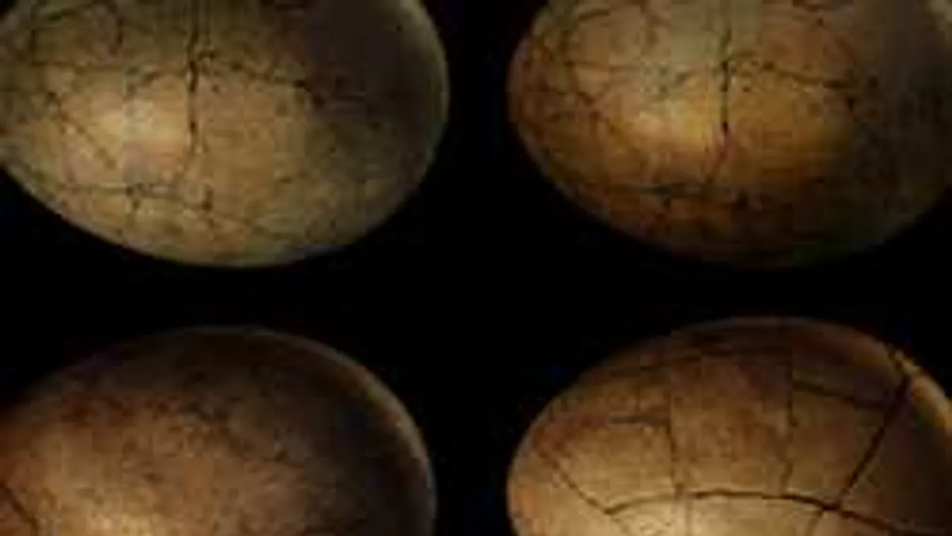 Szenzációs mit találtak a diákok a sárban, már a tudósok előtt az ügy