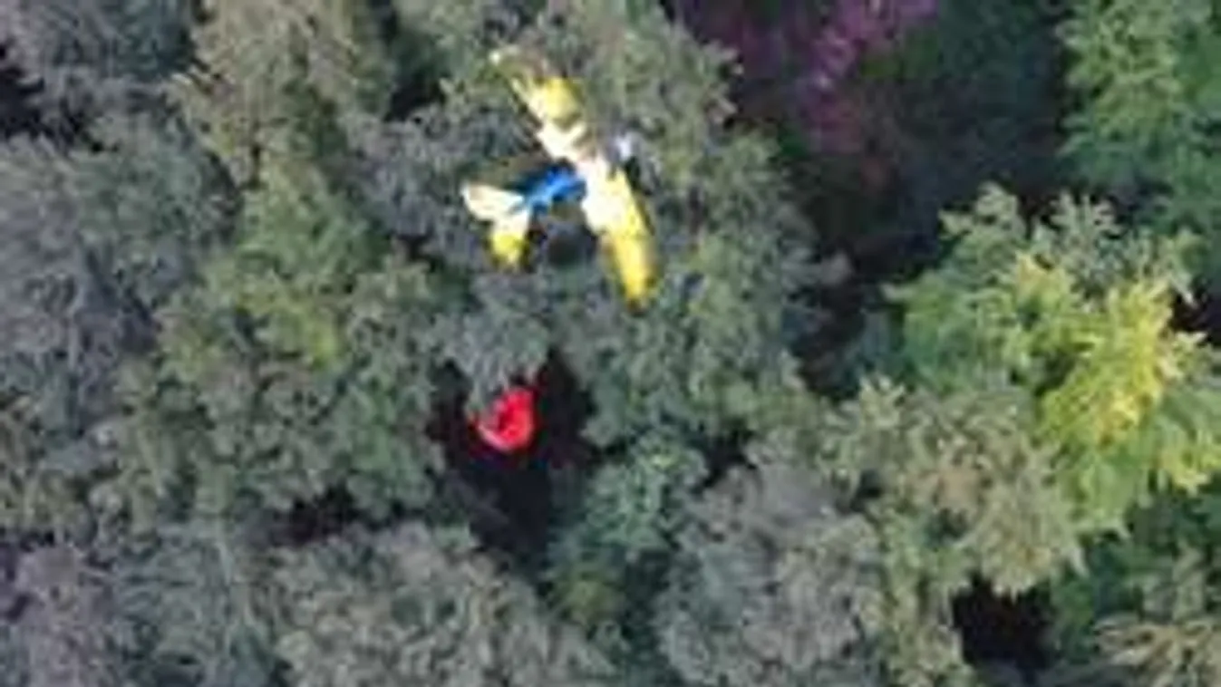 Különös légibaleset: 13 órát töltött egy fa tetején repülőgépével a pilóta