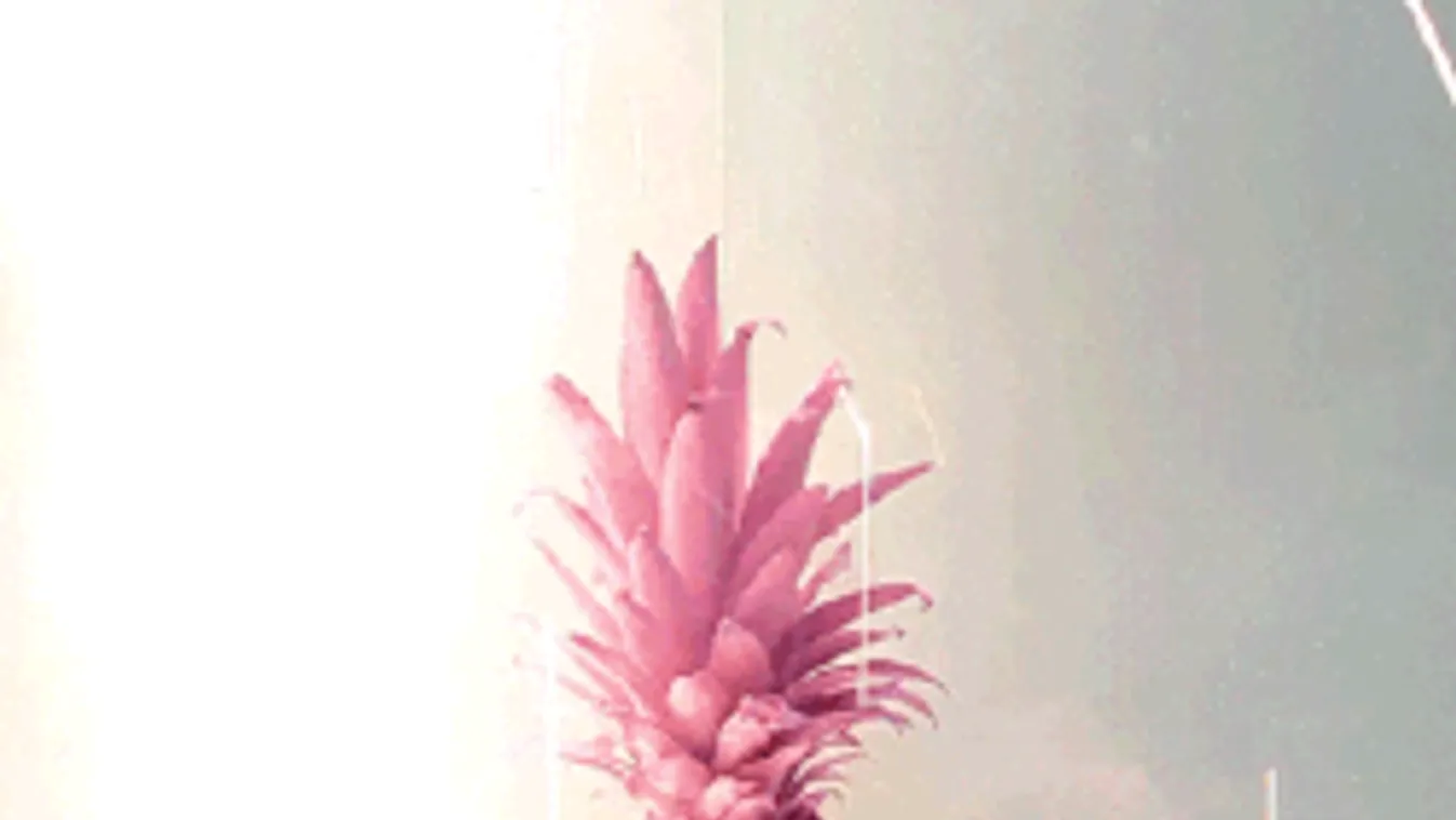 Megújult az ananász: mindenki rajong az új színért!