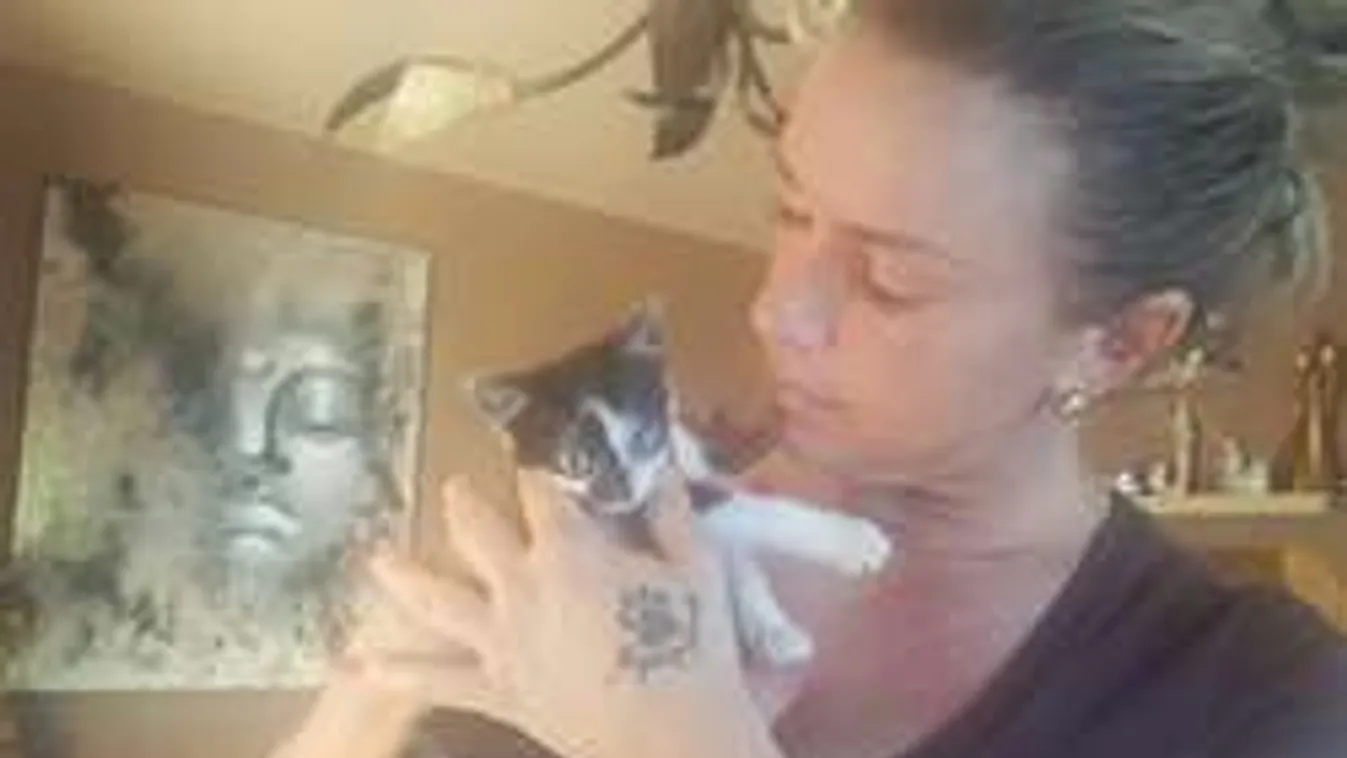 Elképesztő: Szándékosan ütötte el a szomszédja Molnár Anikó macskáját!