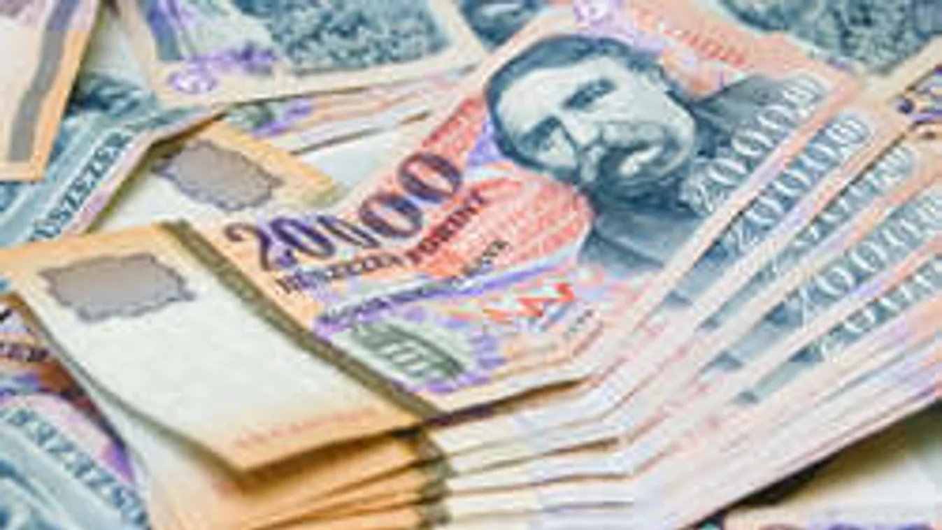 Félmillió forintot kapsz, ha tudsz valamit!