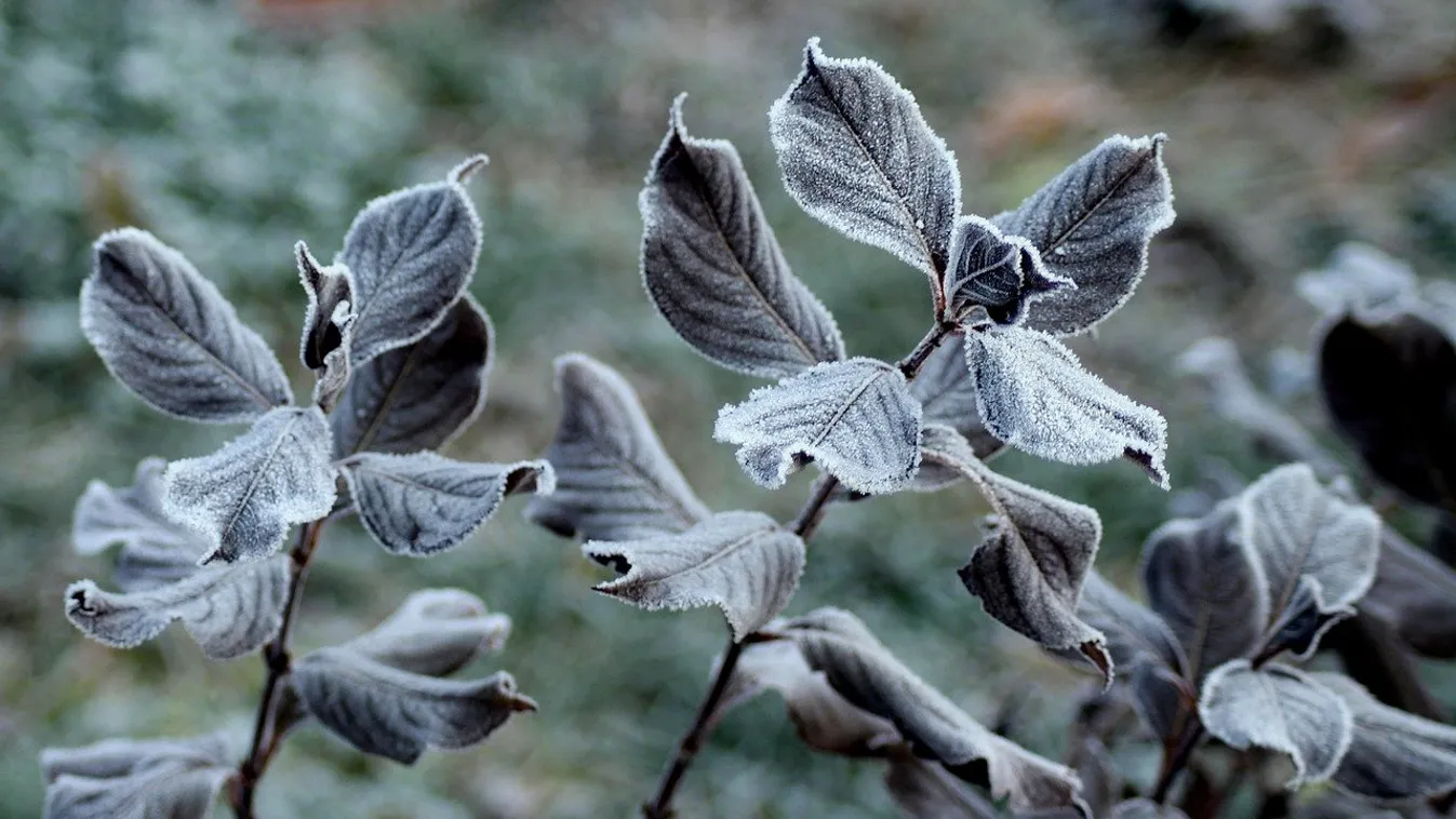 Havazás nem lesz: Fagyos reggelekre számíthatunk