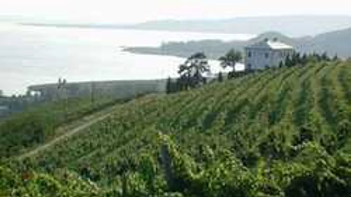 Badacsonyi borászgyilkosság: megtorlástól tart a feltételezett gyilkos