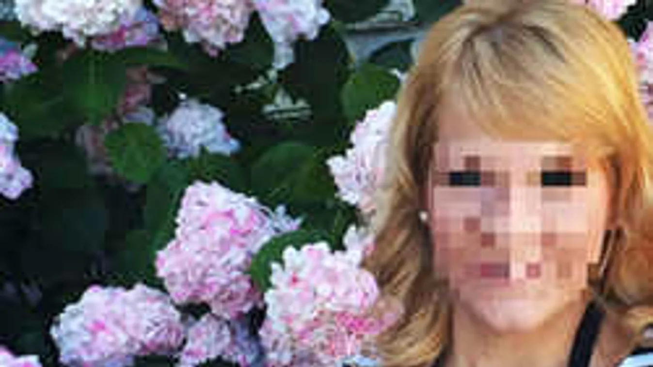 Ezt akarja a gödöllői Zsófi gyilkos gázolója