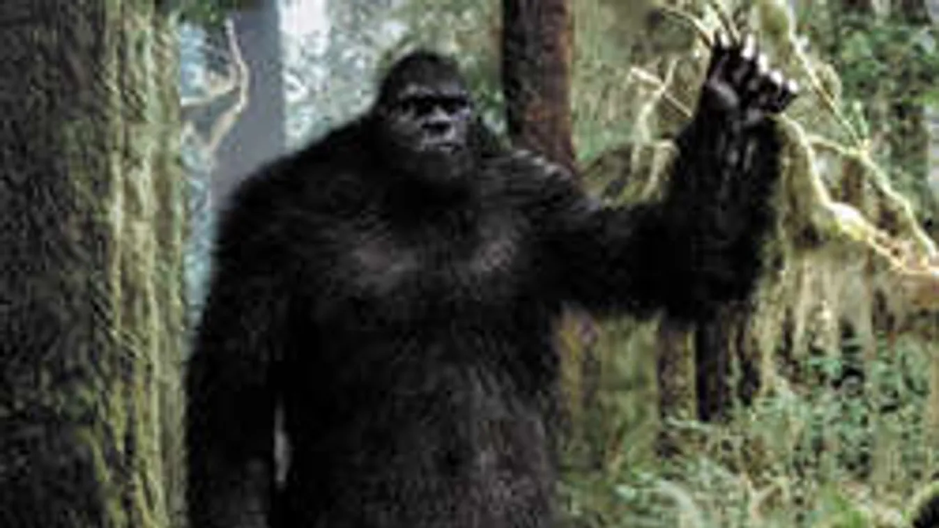 Bigfoot játszott az erdei ösvényt figyelő kamerával - az meg felvette