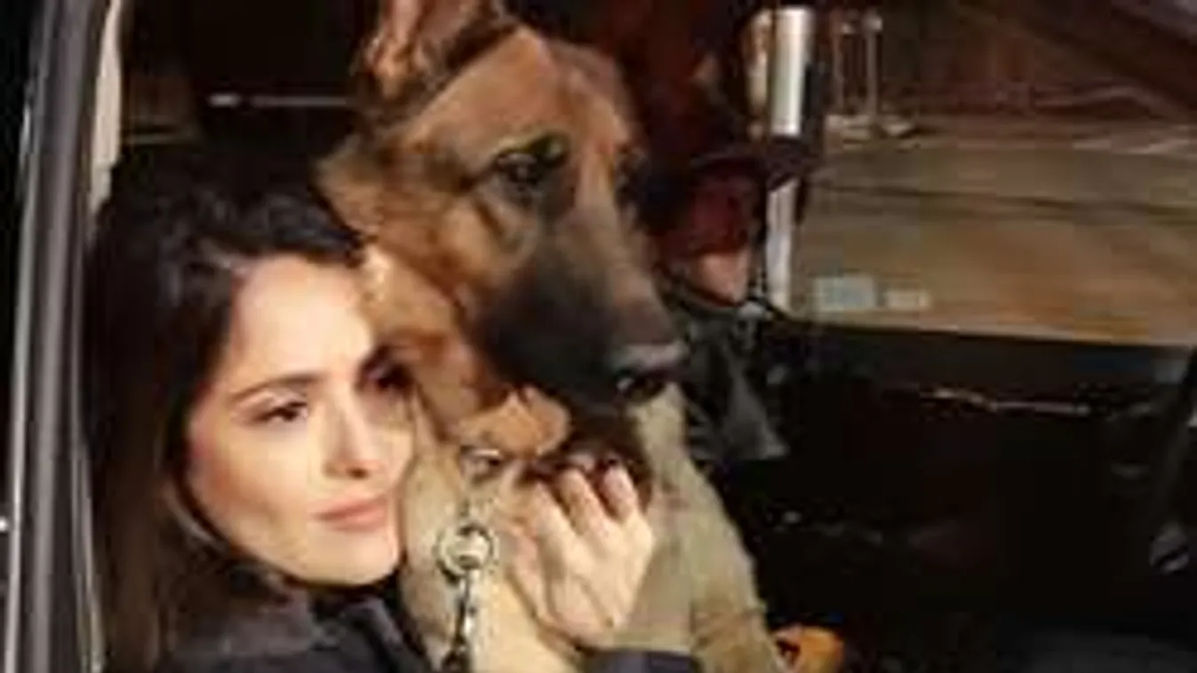 Egy lövéssel végezték ki az ismert színésznő hű társát