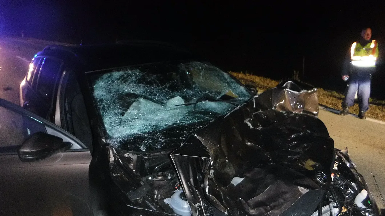 Így néz ki az autó, amelyik egy szarvascsordába hajtott