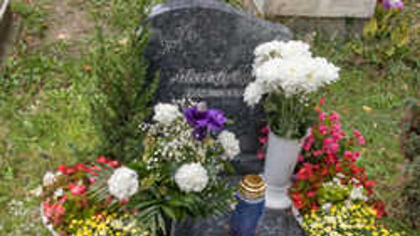 Megható, ami történt a kilenc éve elhunyt Albert Györgyi síremlékénél!