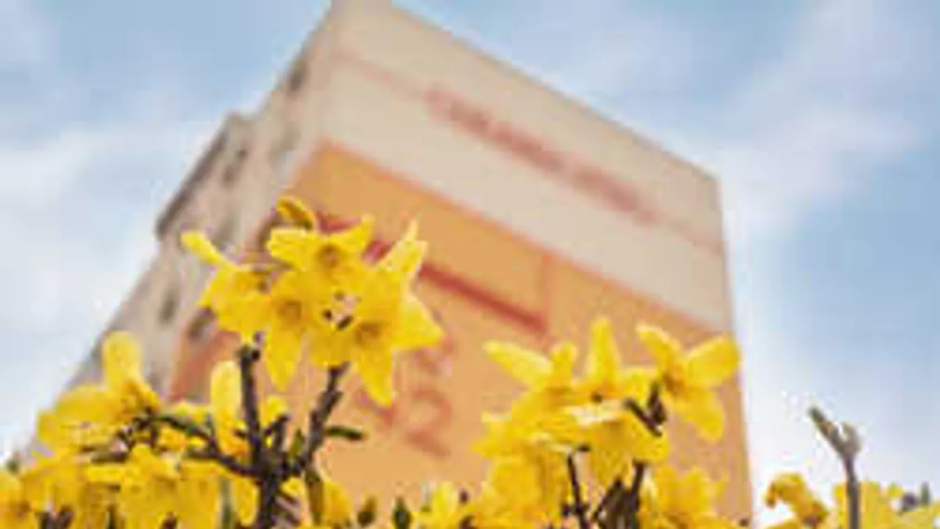 Tévedtek a meteorológusok: Kiderült, milyen időjárás lesz márciusban