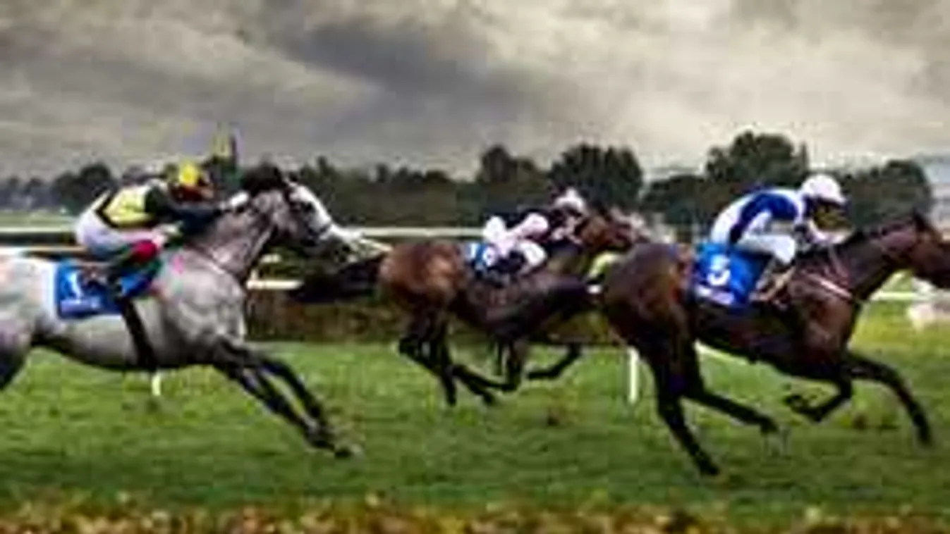 Szörnyű tragédiával végződött a lóverseny, sokkot kaptak a nézők