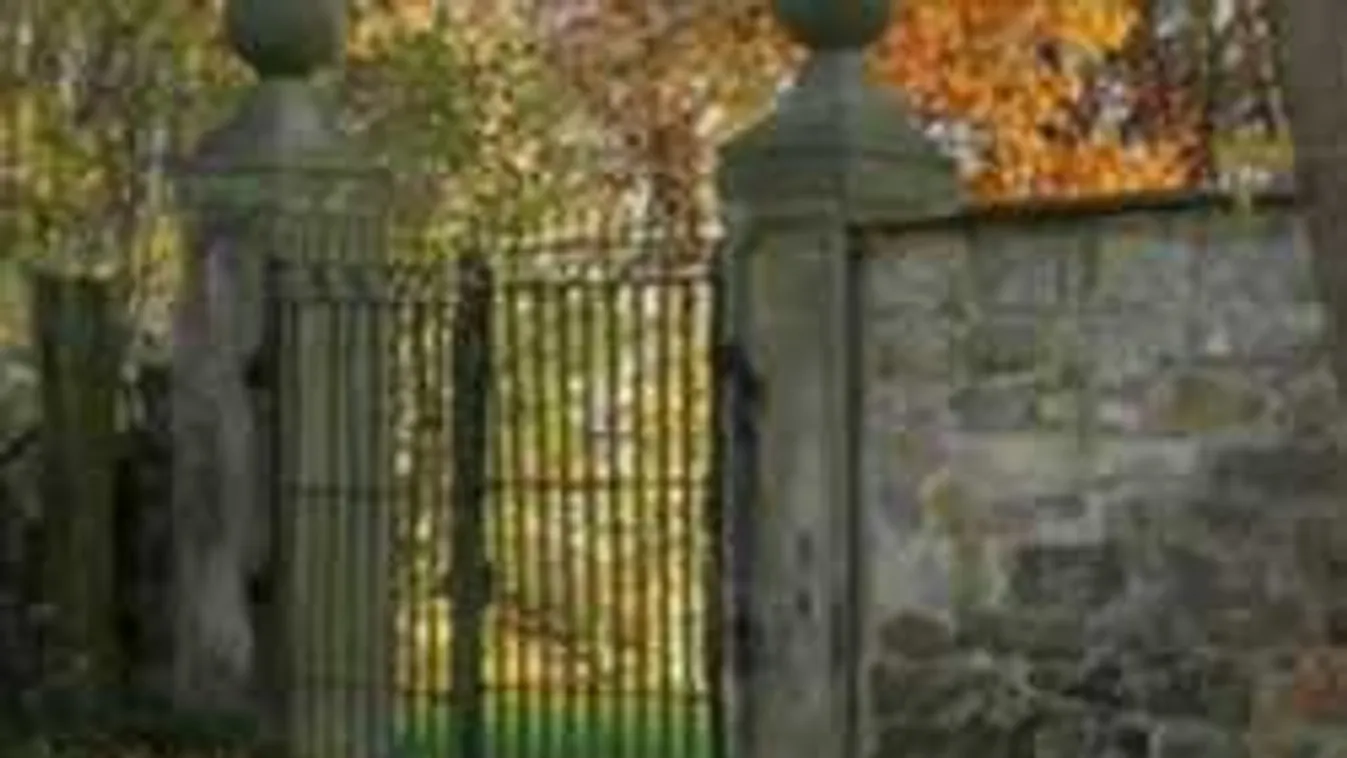 Találd meg a mókust a képen - ha sikerül, akkor zseni vagy!