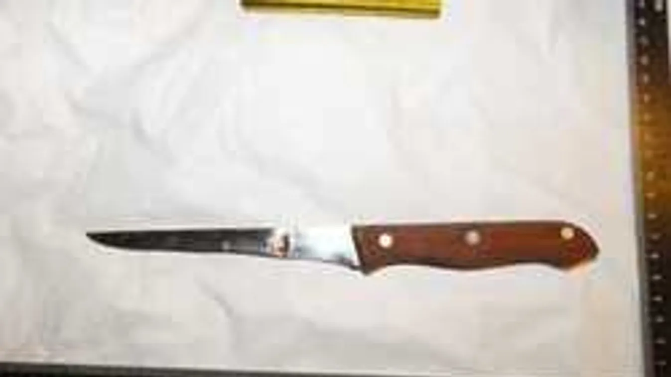 Gyilkossági kísérlet történt a nyílt utcán!