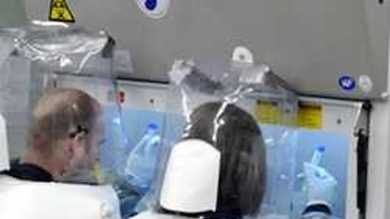 Újabb részletek derültek ki az ebolával fertőzött orvos ügyében