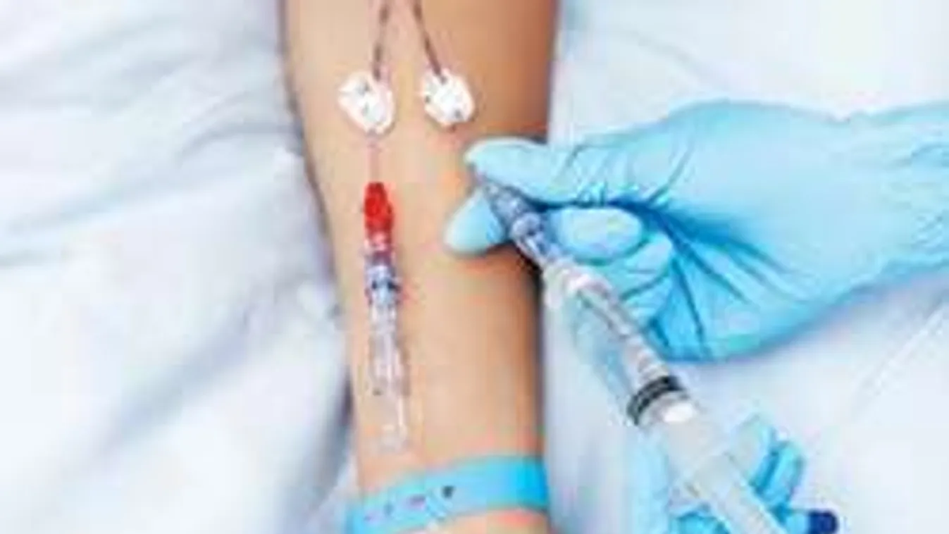 Trópusi betegségek jöhetnek a hőség után!