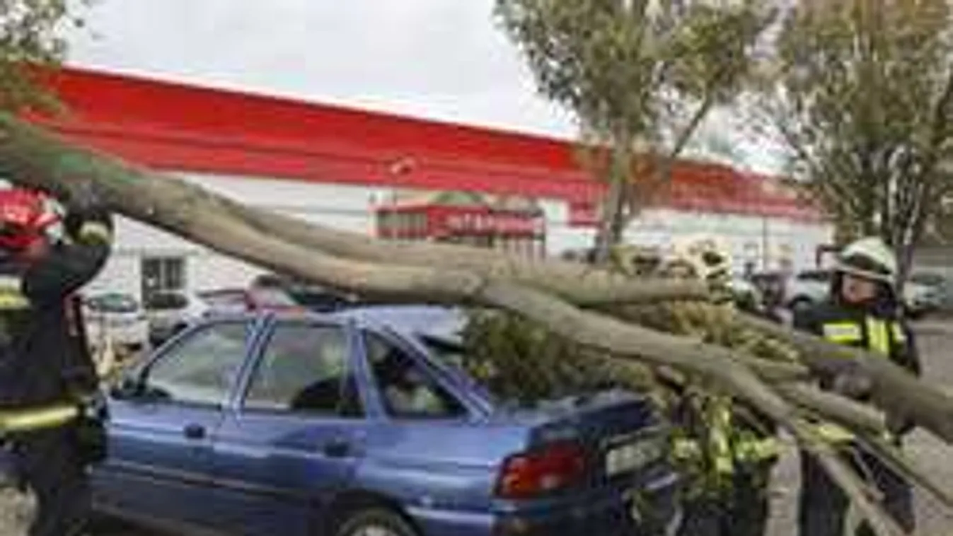Brutális pusztítást végzett országszerte az orkán erejű szél - fotók