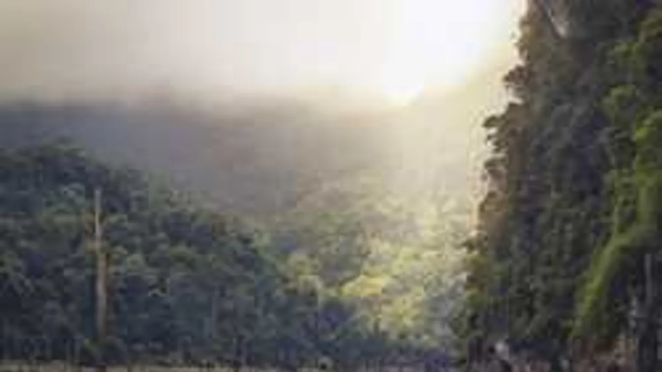 Csak a fél pár cipője lett meg, már nem keresik az eltűnt Szabolcsot