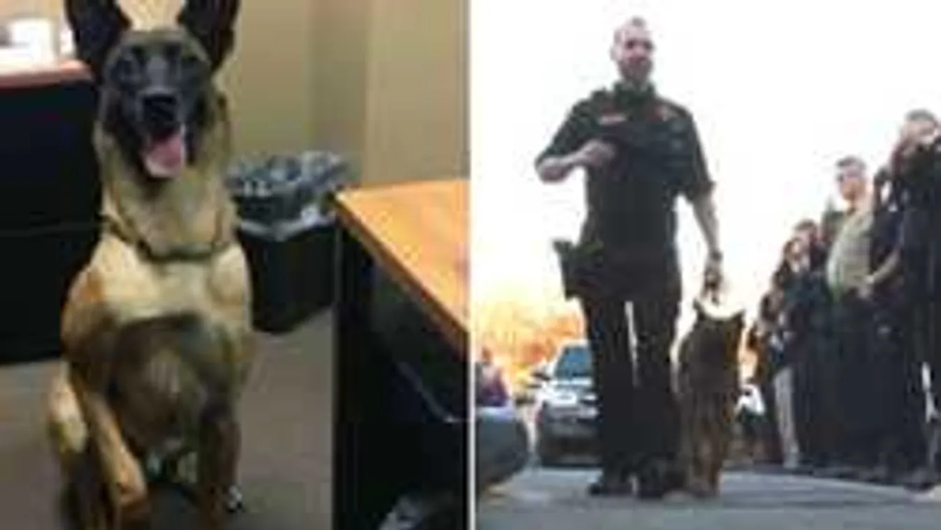 Megható módon búcsúztak súlyos beteg társuktól a rendőrök! - videó