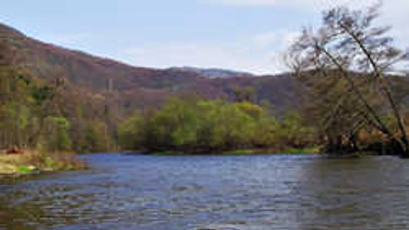 Oszlásnak indult női holttestet húztak ki a Duna mellékfolyójából