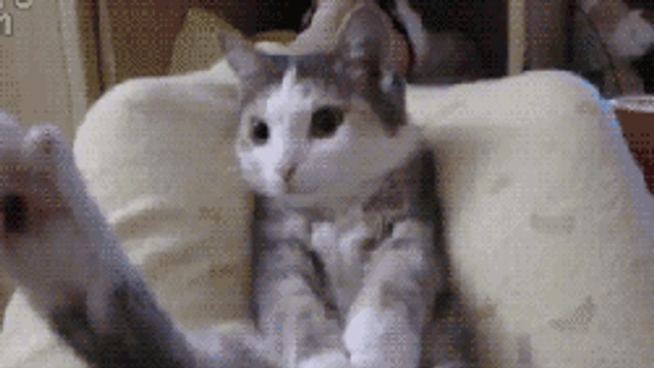 Sok napsütésre számíthatunk, de előtte még megkínoz az időjárás