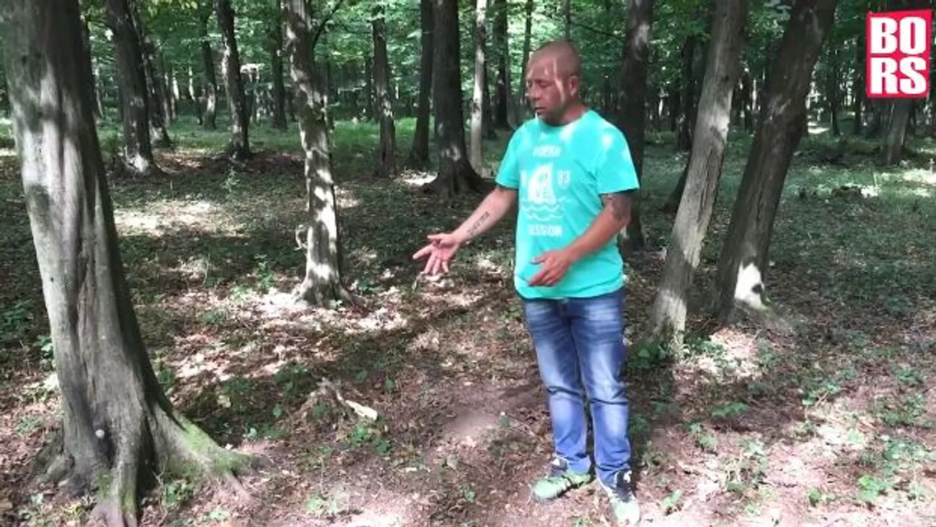 Gyilkos kos: vérfagyasztó részletek derültek ki a szentgáli tragédiáról