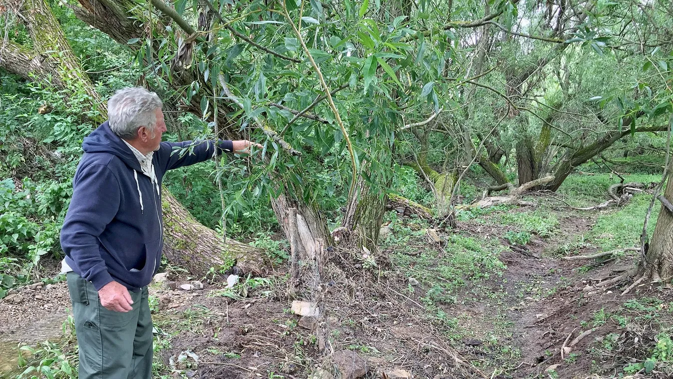 Marika néni 1 órával a halála előtt hívta a polgármestert segítségért