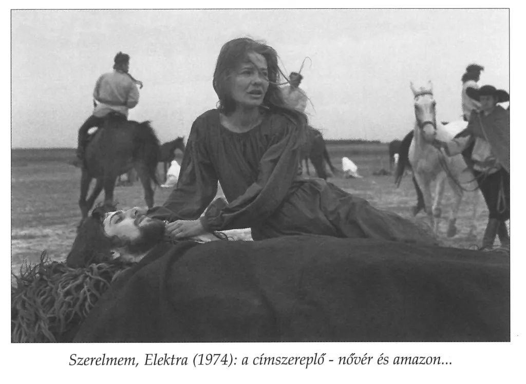 a1b3eb0b600378c250afa03e321cf7beb6cb5af5