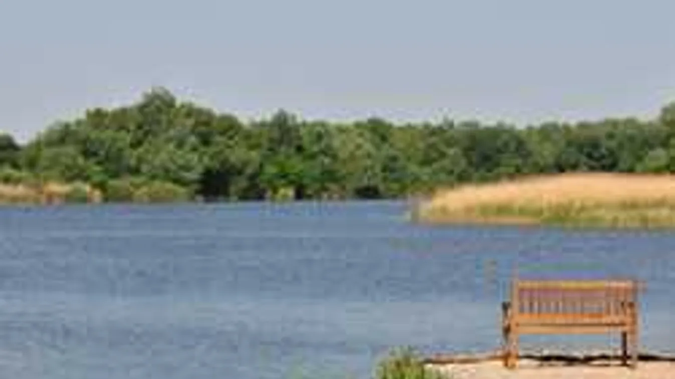 Horrorba illő harc lehetett a pitbull és az óriásharcsa között