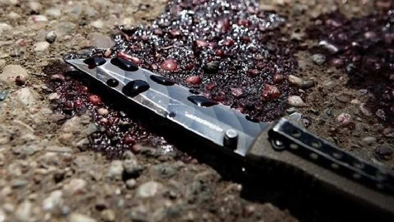 Naponta már 6 késes támadás volt Ausztriában tavaly