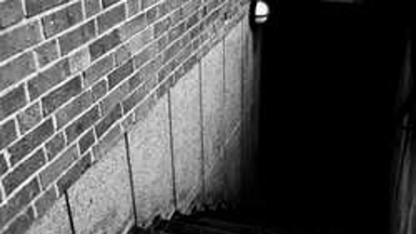 Borzalom Dunakiltiben: pincéjében rejtegette anyja holttestét a férfi