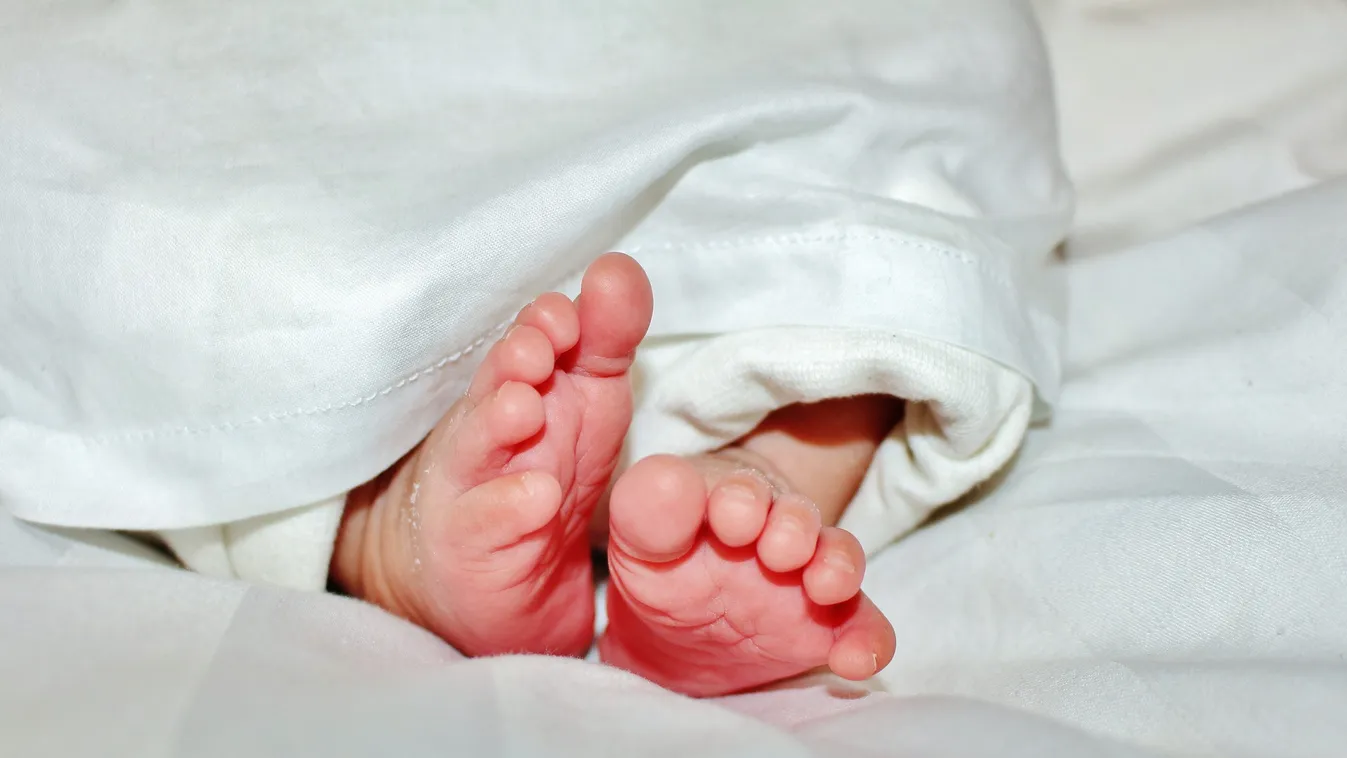 Gólyahír: fia született Boris Johnsonnak