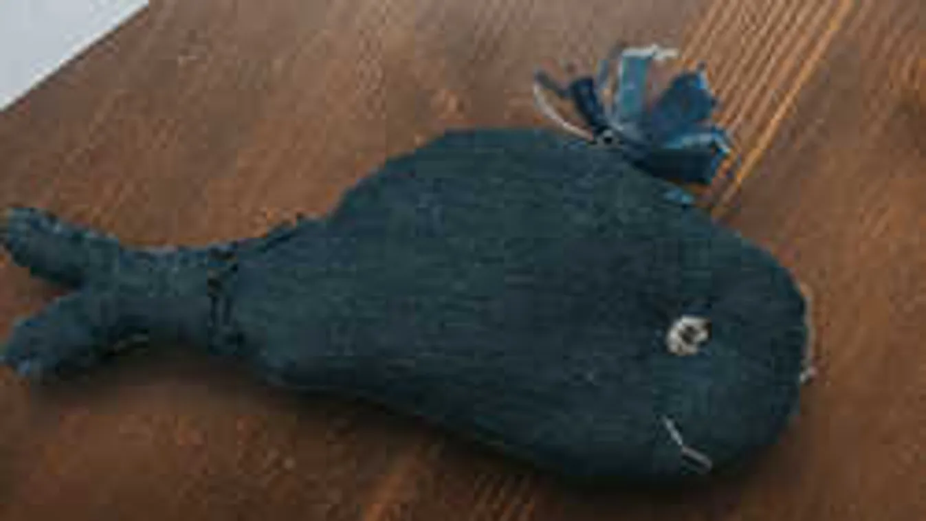 Öngyilkos lett egy 15 éves fiú a Kék Bálna-őrület miatt